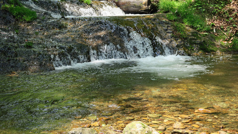 イワナ3ポイント_20230517