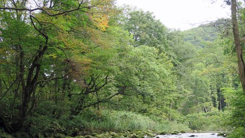 和賀川水系その1_20210926
