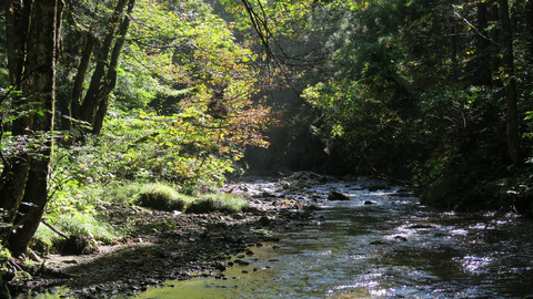 9月の和賀川水系_20210919