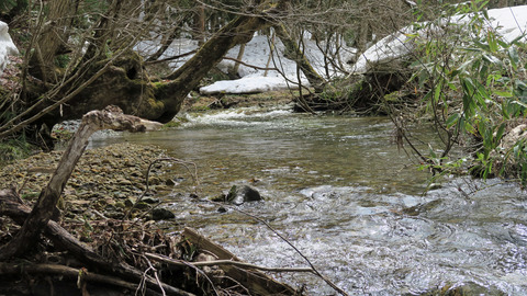 和賀川水系_20210410