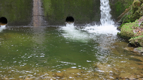 イワナ2ポイント_20240420