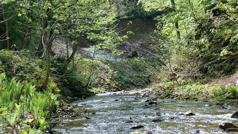和賀川水系1_20250515