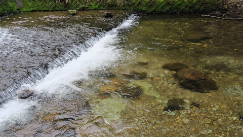 イワナ1ポイント_20240420