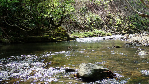 イワナ1ポイント_20250515