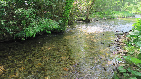 イワナ7ポイント_20230517