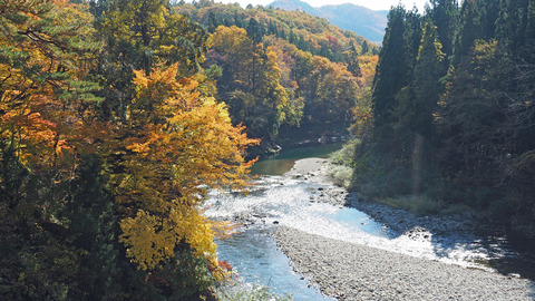 紅葉と渓流2023年和賀川水系_6