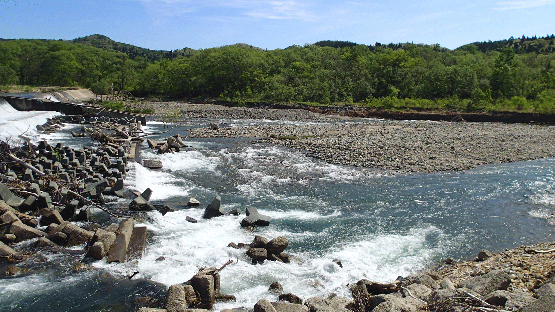 渓流の餌釣り経験は役に立つ 休日は ほぼほぼ川にいます