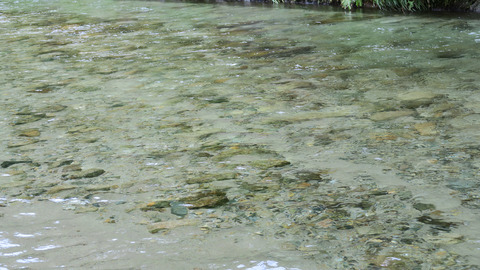 2020801バラシポイント