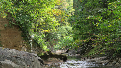 和賀川水系その5_20210926