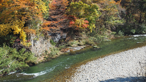 紅葉と渓流2023年和賀川水系_7
