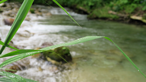 20200801和賀川水系1
