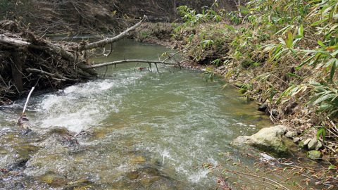 イワナポイント_20230429