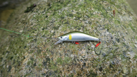 20200801イメル50S