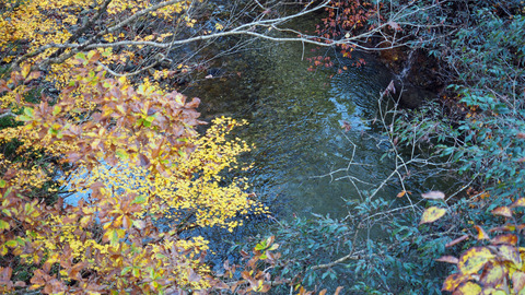 紅葉と渓流2023年和賀川水系_11