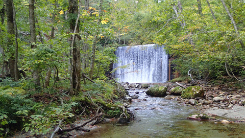 10月の渓流2