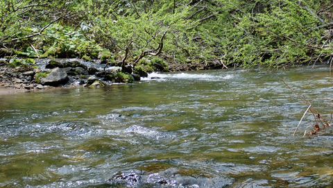 イワナ2ポイント_20250515