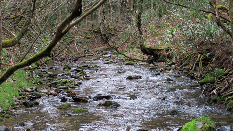 和賀川水系_20240420