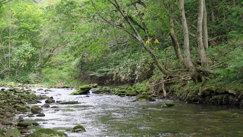 和賀川水系その2_20210926