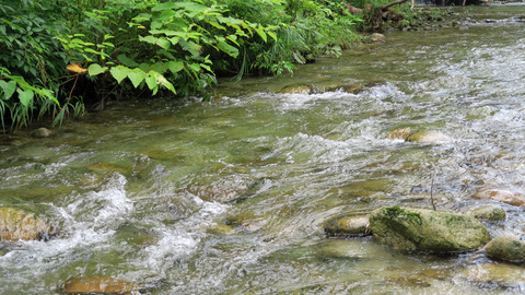 20200801岩魚2ポイント