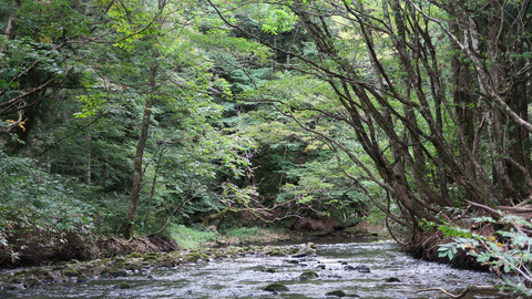 和賀川水系その3_20210926