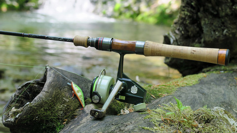 カーディナル33_20230517