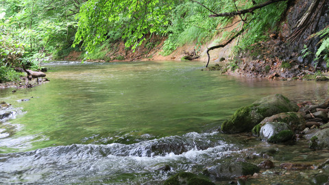 20200724和賀川水系1