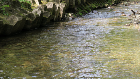 イワナポイント_20210926