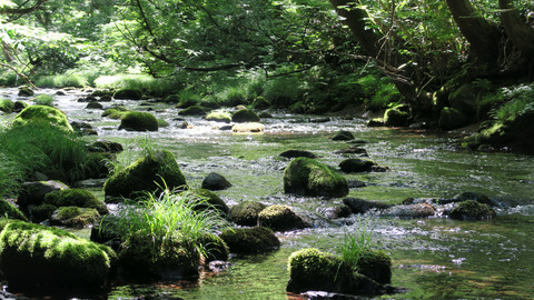 20200621和賀川水系3