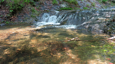 イワナ4ポイント_20230517