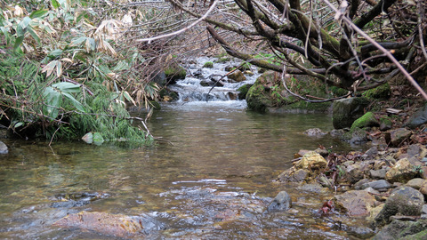 イワナ3ポイント_20240420