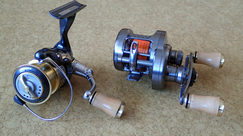 ステラとカルカッタコンクエスト