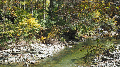 紅葉と渓流2023年和賀川水系_1