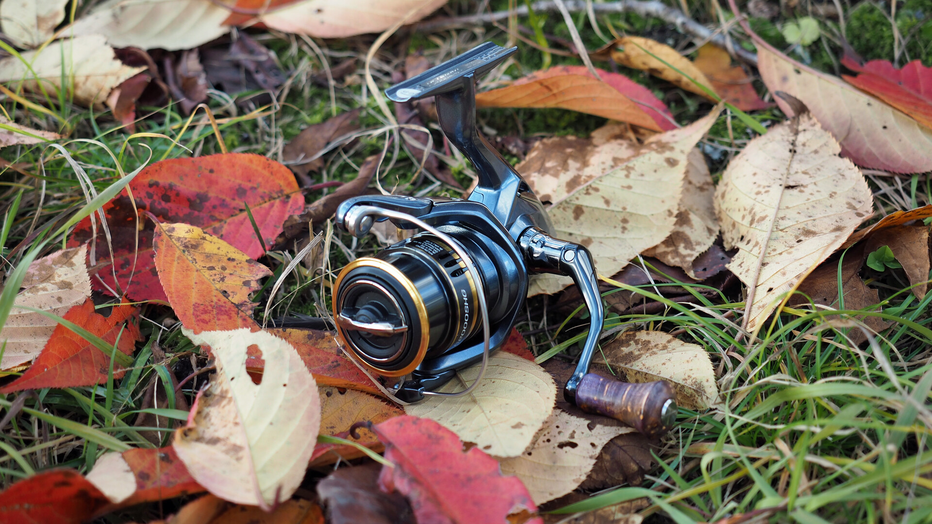 2022すごいと思ったリール～21アルテグラC2000SHG～ : 休日は、ほぼ  