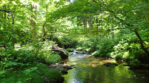 20190602和賀川水系