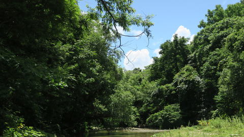 20200801和賀川水系2