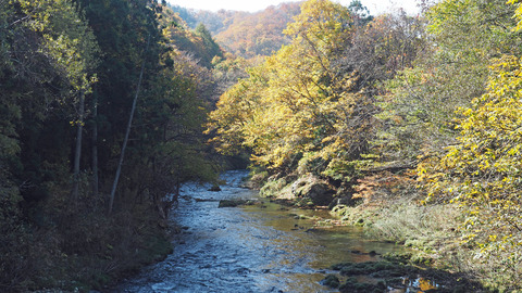 紅葉と渓流2023年和賀川水系_3