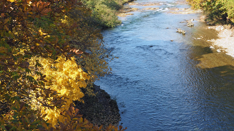 紅葉と渓流2023年和賀川水系_5