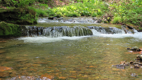 イワナ2ポイント_20230517
