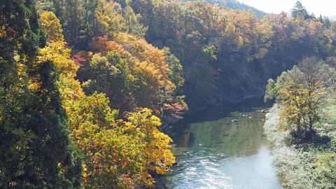 紅葉と渓流2023年和賀川水系_8