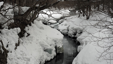 和賀川_20220305_3