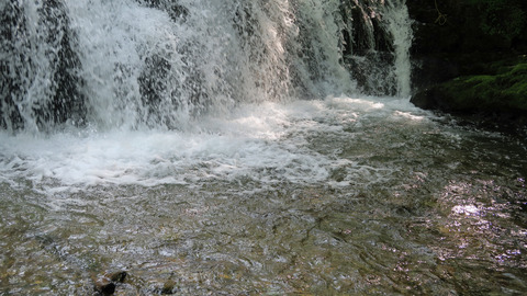 イワナ9ポイント_20230517