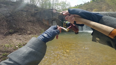 イワナ逃亡_20230429