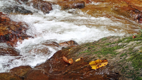 10月の渓流3