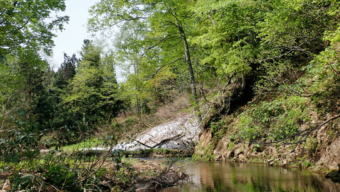 和賀川水系2_20250515