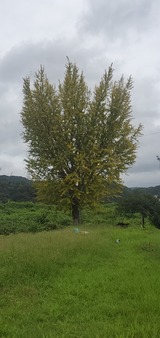 20210913_084630