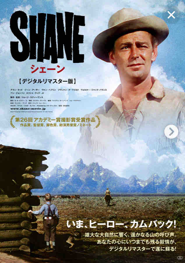 シェーン カムバック 調布の税理士西山のブログ シェーン カムバック 調布の税理士西山のブログ