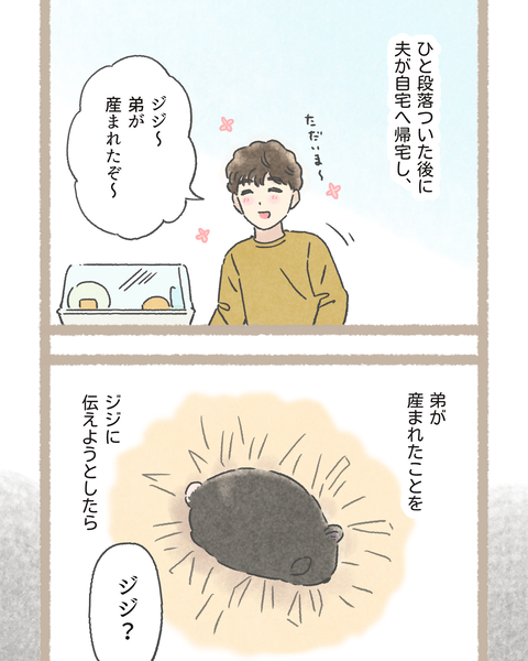 4#396②色_20251122174535