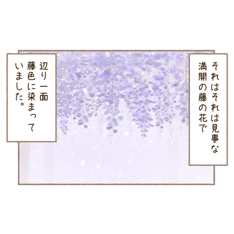 6 (1)