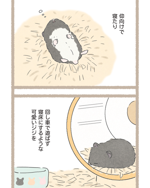 4 #396①色_20251120161121