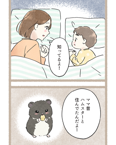 1#396③色_20251123130932